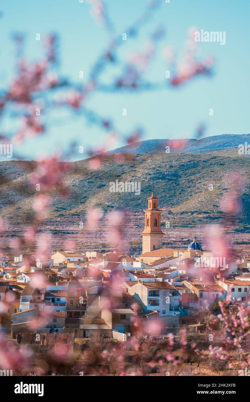 Gli alberi di mandorle fioriscono in inverno. Alcublas pittoresco villaggio a Valencia, Spagna. Primo piano sfocato Foto Stock