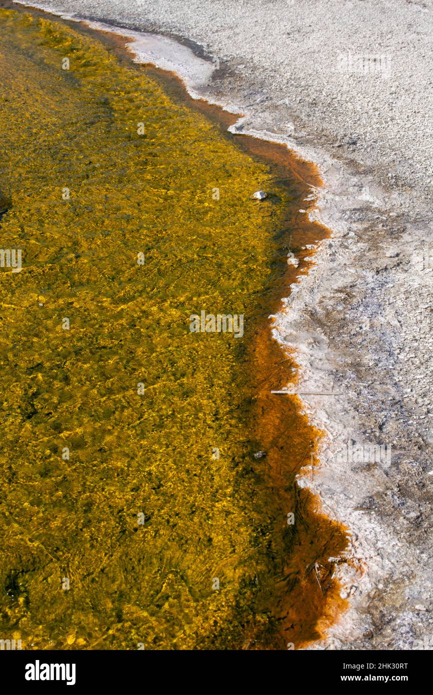 Stati Uniti, Wyoming, Parco Nazionale di Yellowstone, Bacino Biscuit, piscina Sapphire, coloratissimo fiume termofilo e tappeto batterico. Foto Stock