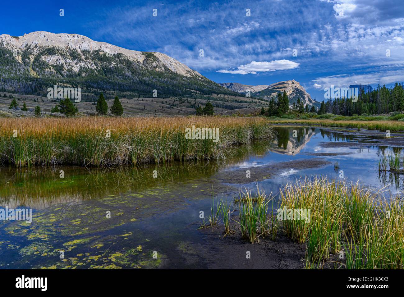 USA, Wyoming. White Rock Mountain e Squaretop Peak sopra la zona umida del Green River Foto Stock
