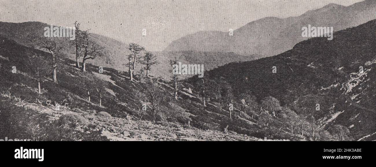 Valle tortuosa nel cuore dei monti Elburz. Iran. Persia (1923) Foto Stock
