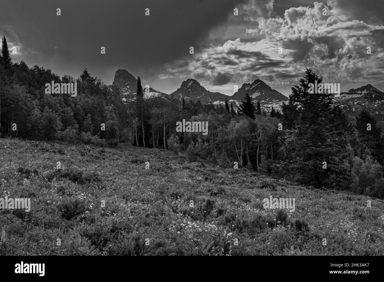 USA, Wyoming. Paesaggio bianco e nero di spettacolari nuvole e prati, lato ovest dei Monti Teton Foto Stock