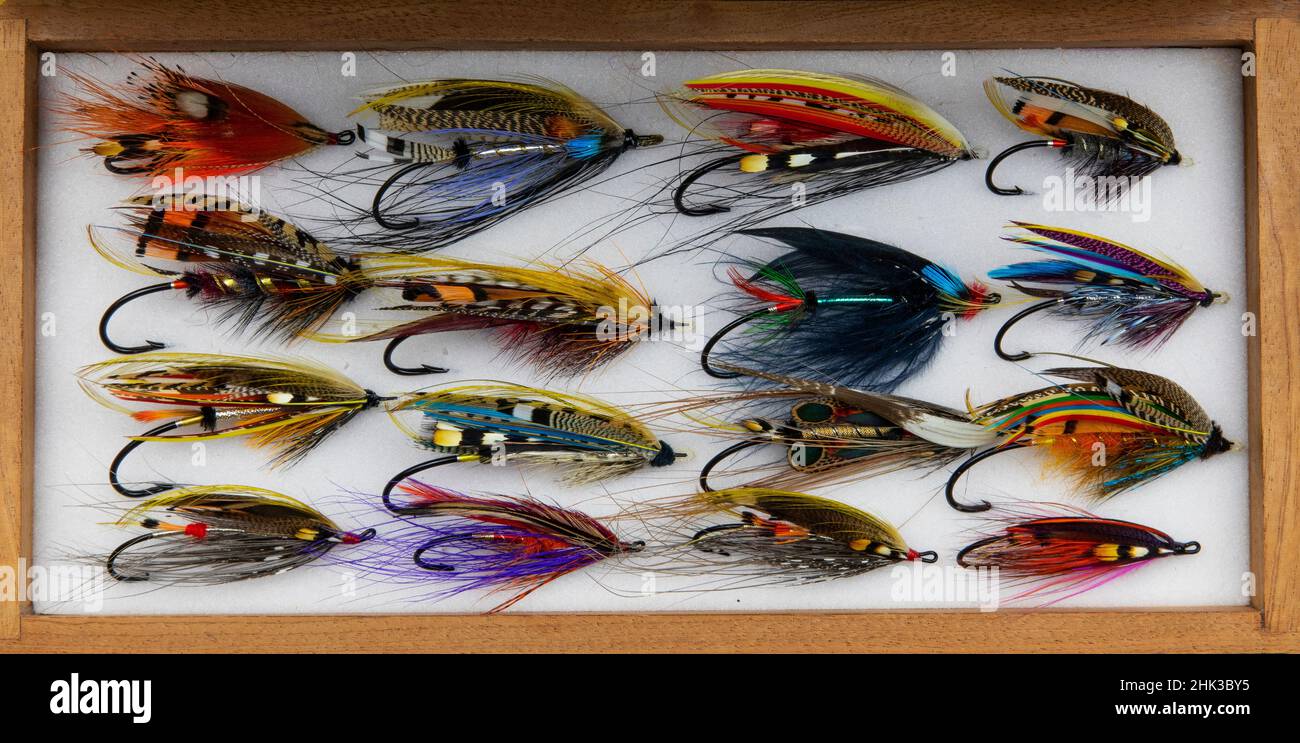Atlantic Salmon Fly disegni Foto Stock