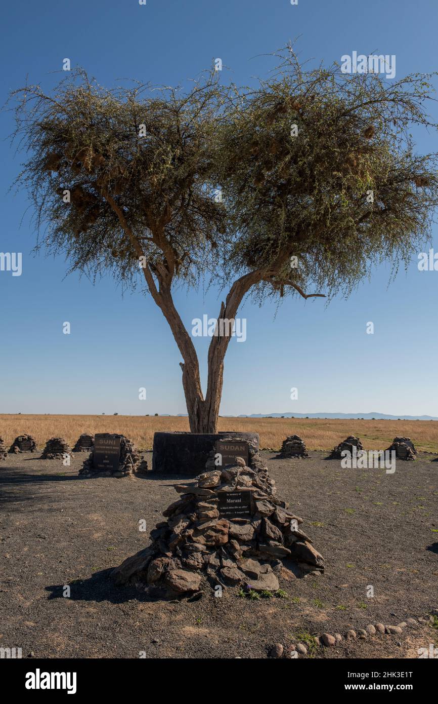 Africa, Kenya, Ol Pejeta Conservancy. Cimitero di Rhino, dove purtroppo la maggior parte degli animali è morta per bracconaggio, non per cause naturali. Foto Stock