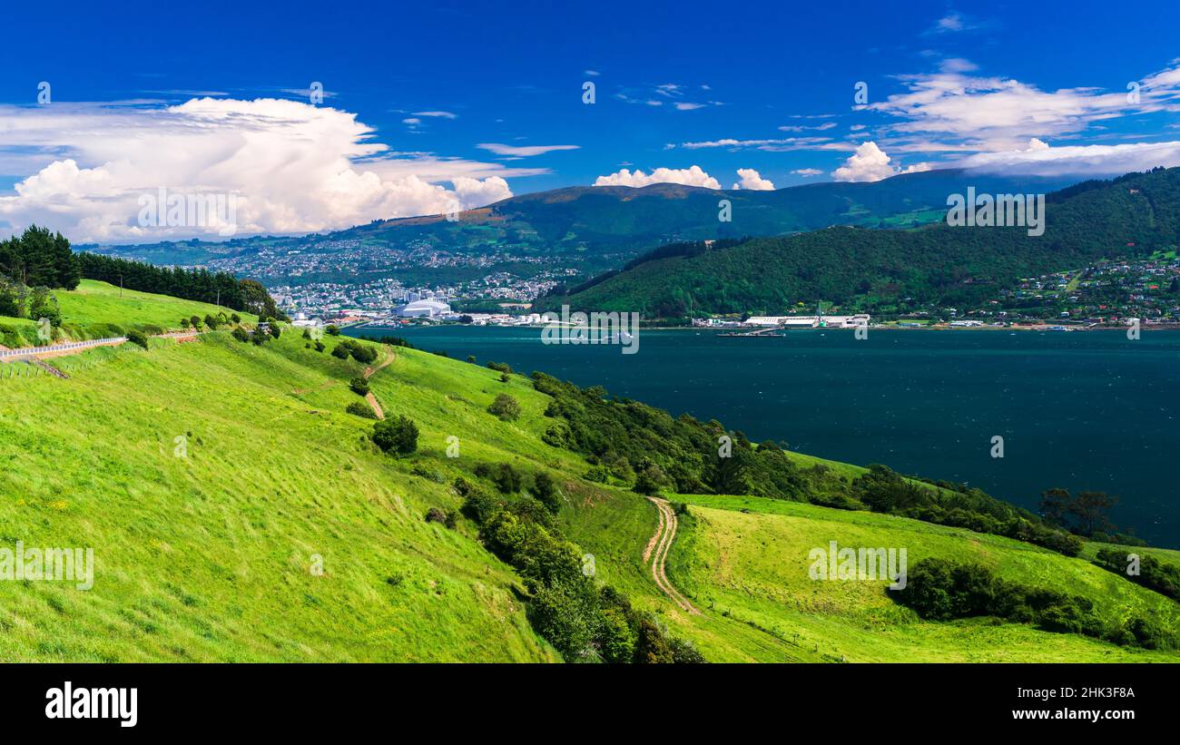 Porto di Otago dalla Penisola di Otago, Dunedin, Otago, Isola del Sud, Nuova Zelanda Foto Stock