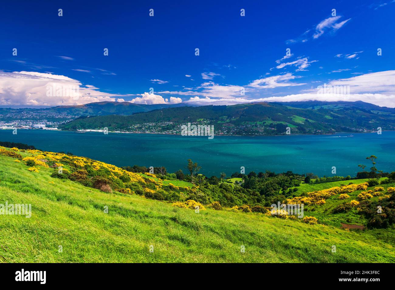 Porto di Otago dalla Penisola di Otago, Dunedin, Otago, Isola del Sud, Nuova Zelanda Foto Stock