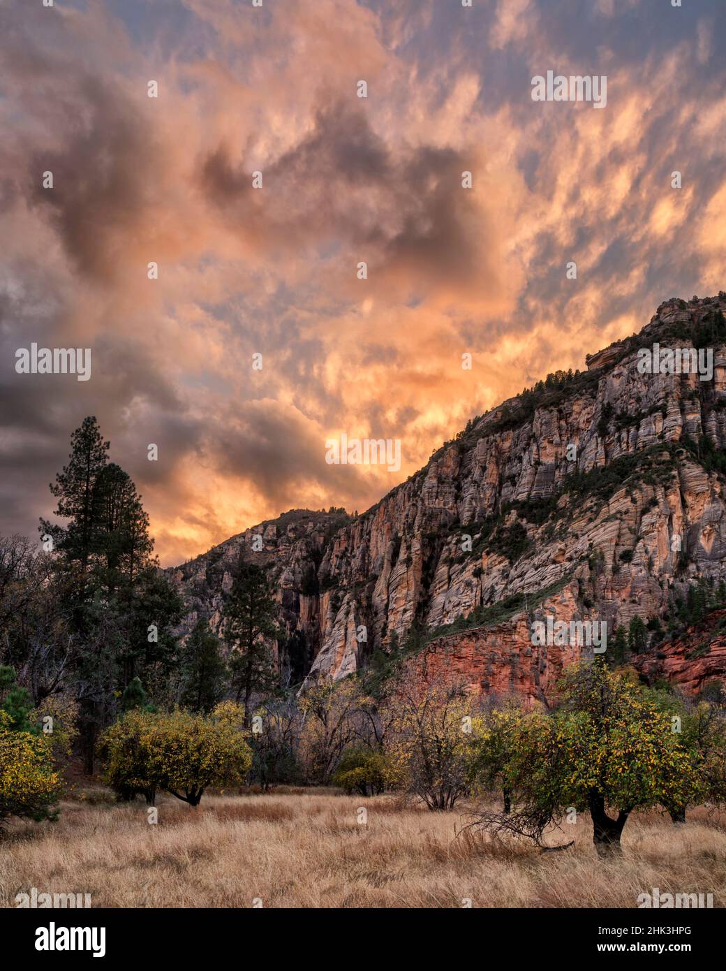 USA, Arizona, Oak Creek Canyon, Coconino National Forest, Tramonto a Oak Creek's West Fork Foto Stock