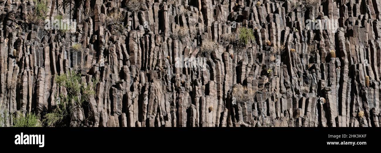 USA, Arizona. Panoramica. Scogliere di lava, basalto Columnar, Parco Nazionale del Grand Canyon. Foto Stock