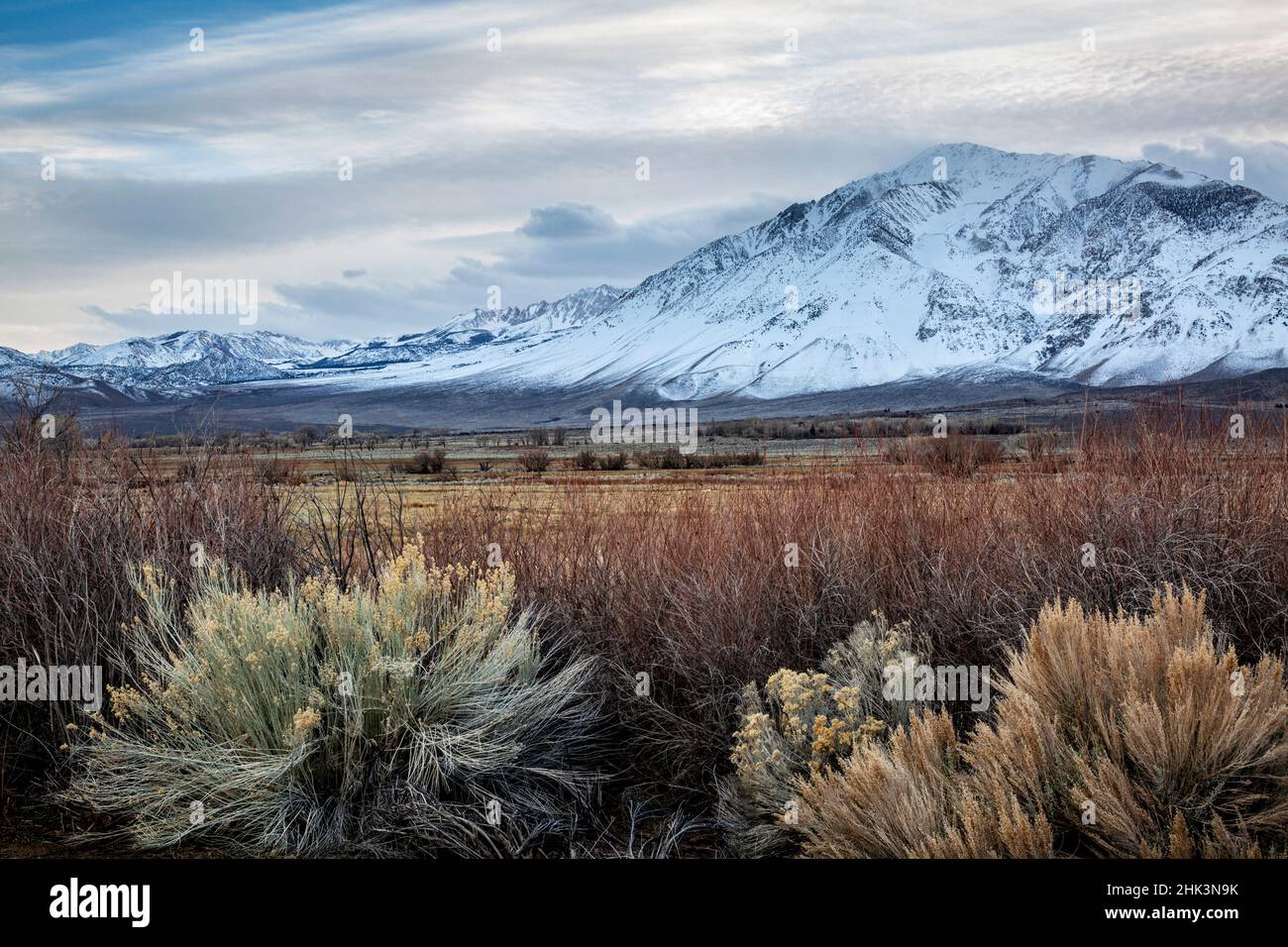 USA, California, Sierra orientale, Bishop, Round Valley e Mount Tom Foto Stock