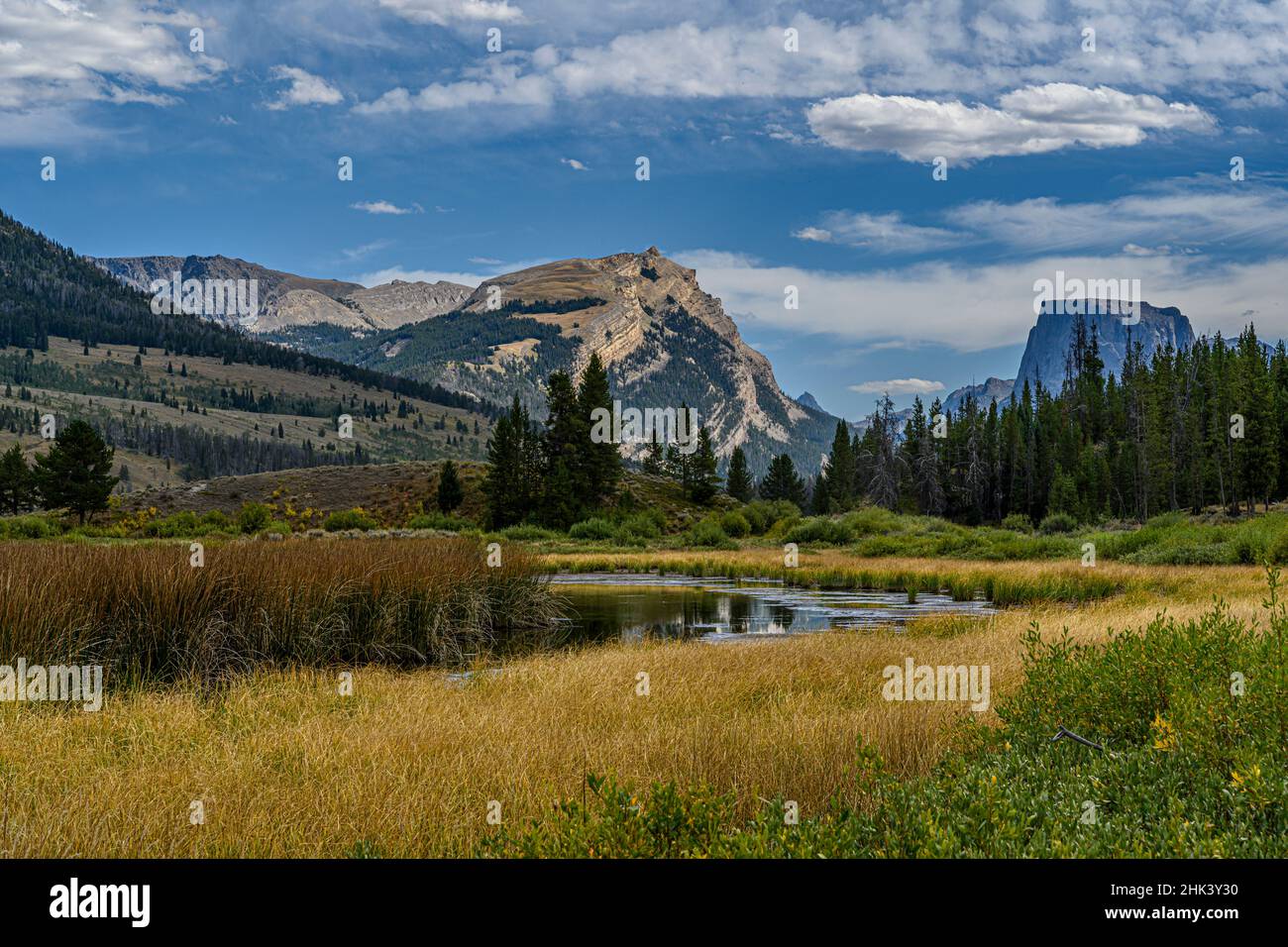 USA, Wyoming. White Rock Mountain e Squaretop Peak sopra la zona umida del Green River Foto Stock