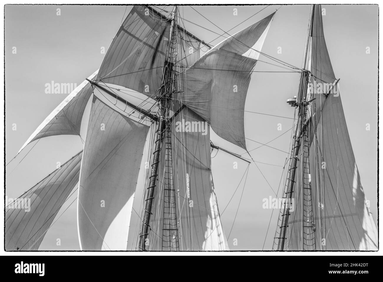 USA, Massachusetts, Cape Ann, Gloucester. Gloucester Schooner Festival, schooner vele. Foto Stock