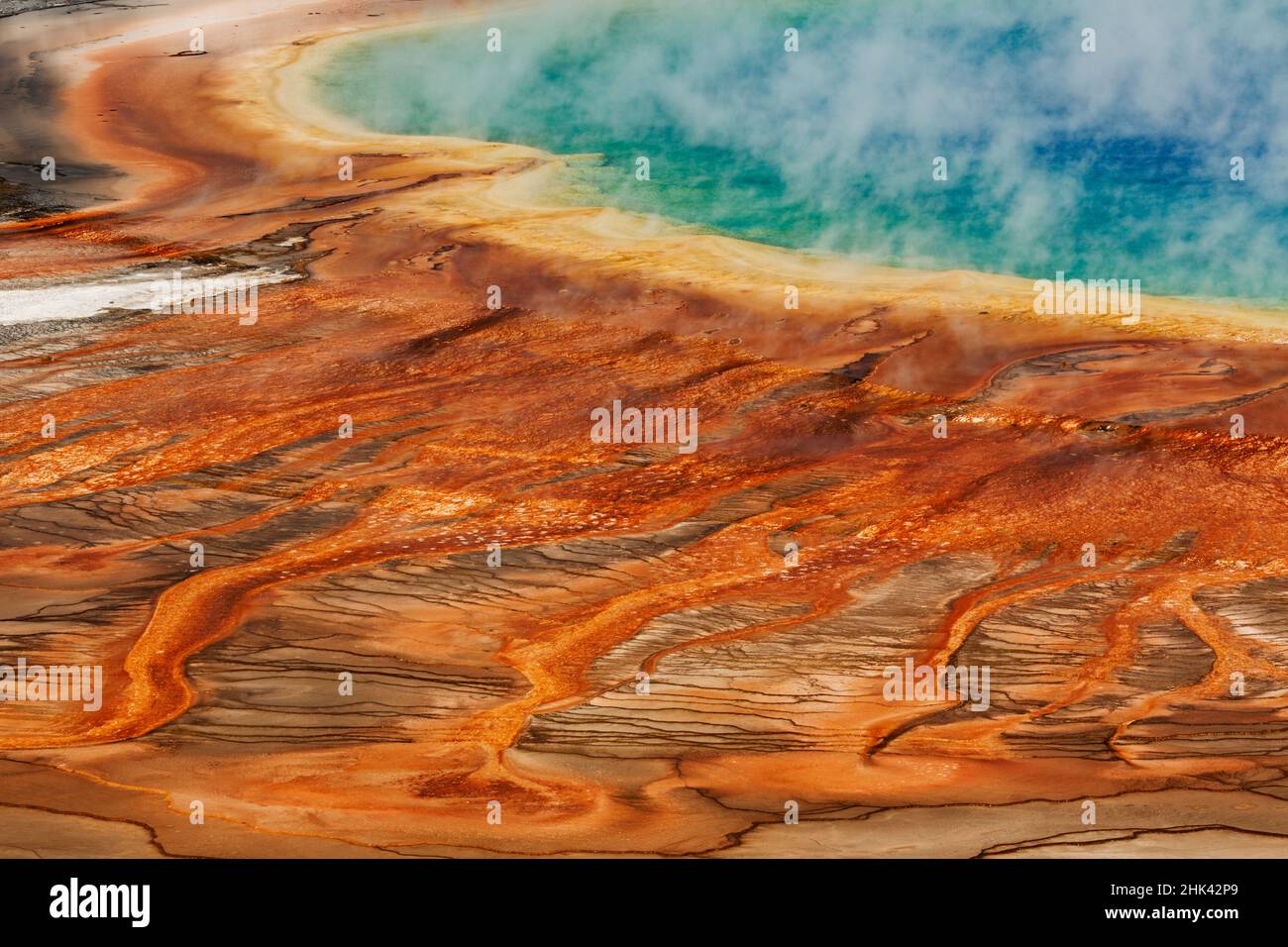 Vista rialzata del manto batterico, Grand Prismatic Spring, Midway Geyser Basin, Yellowstone National Park, Montana/Wyoming Foto Stock