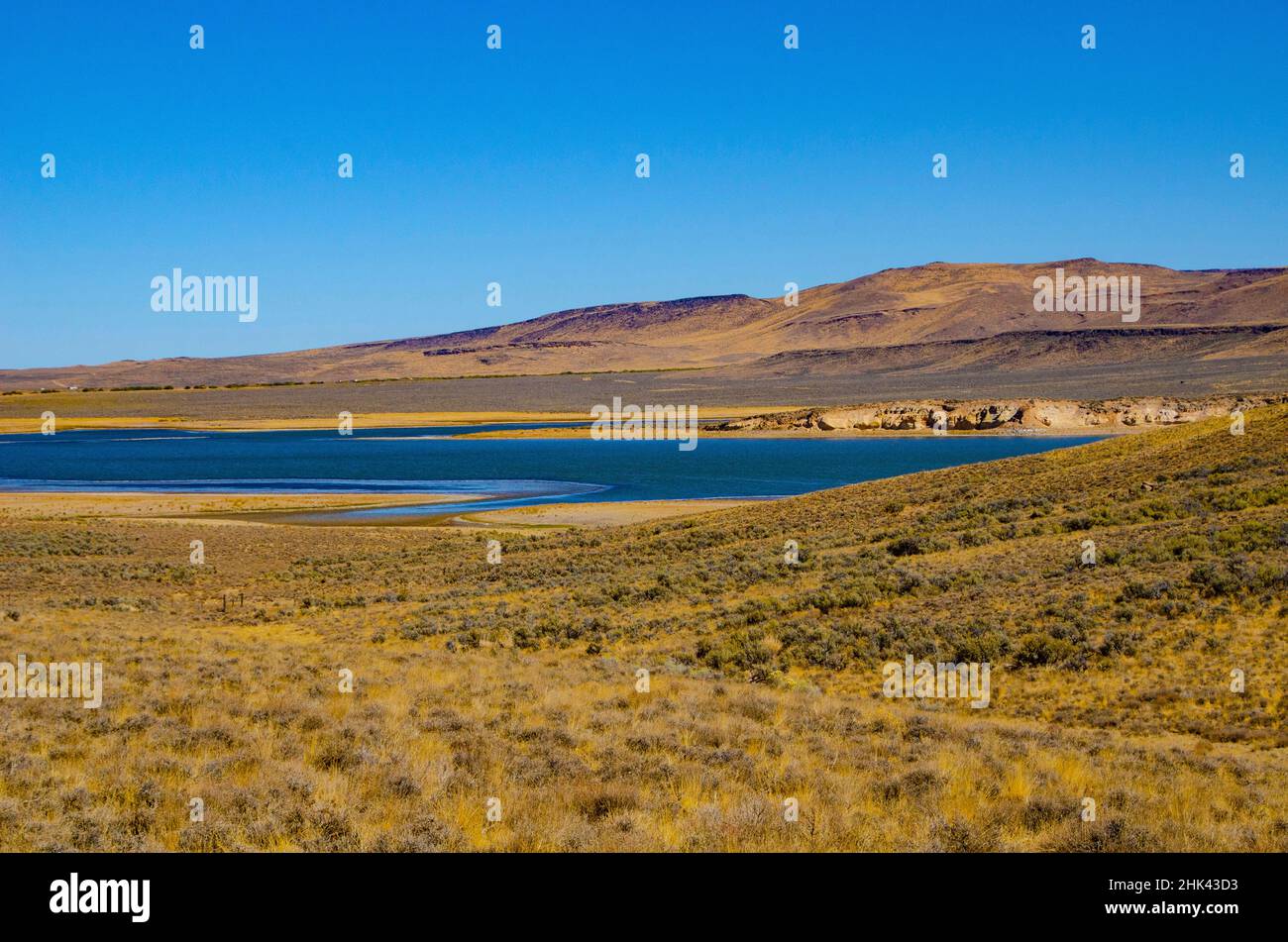 USA, California. Black Rock Desert, Summit Lake nella riserva indiana di Paiute Foto Stock