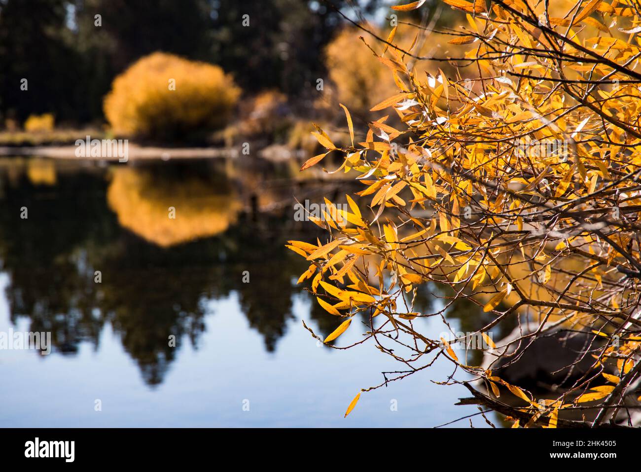 USA, Oregon. Deschutes River Basin, riflessi del fogliame autunnale. Foto Stock