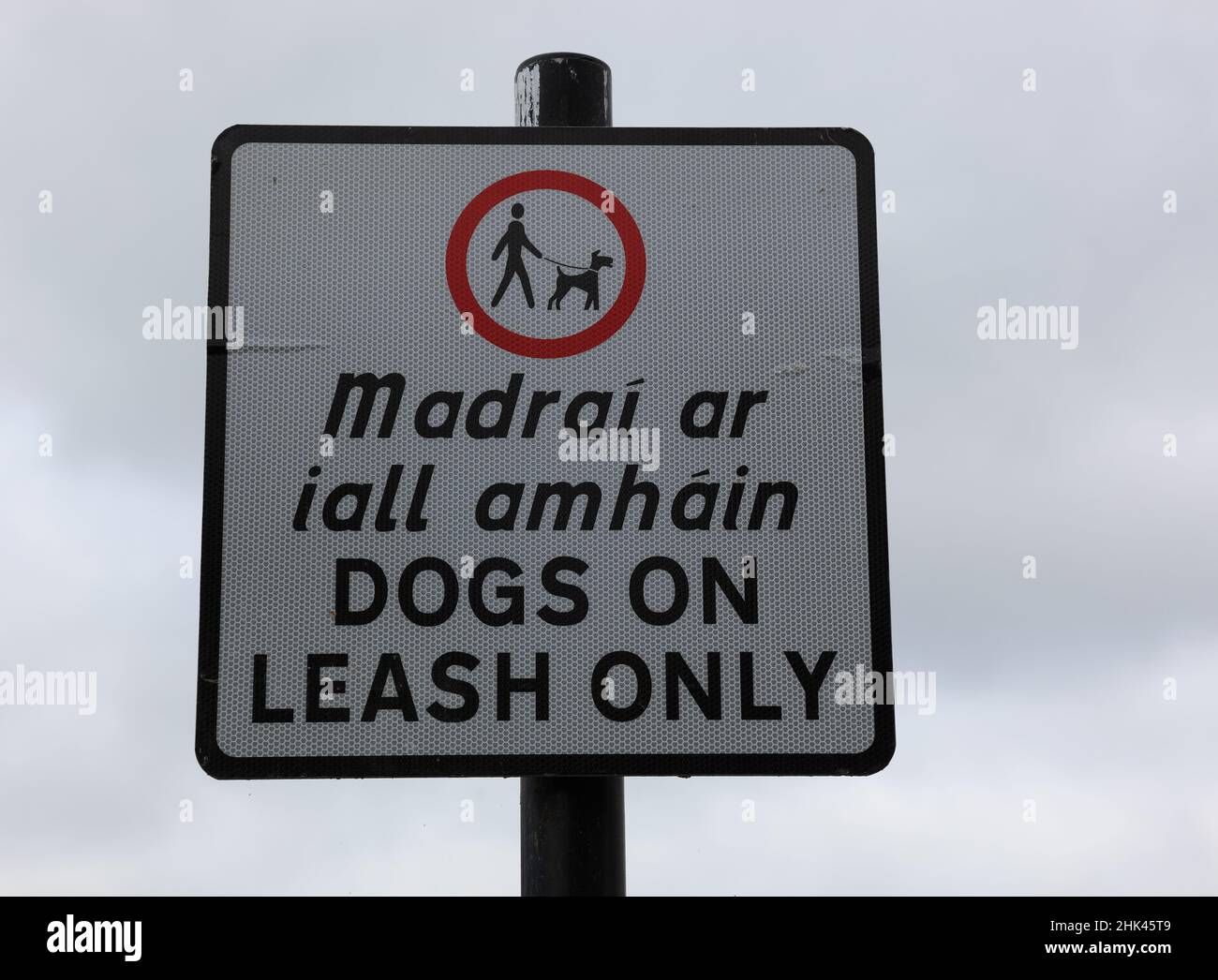 Zweisprachiges Schild, englisch und gälisch, in Navan, Irland. Hunde an die Leine nehmen / Sign dogs on leash only in english and Gaelic language, s Foto Stock