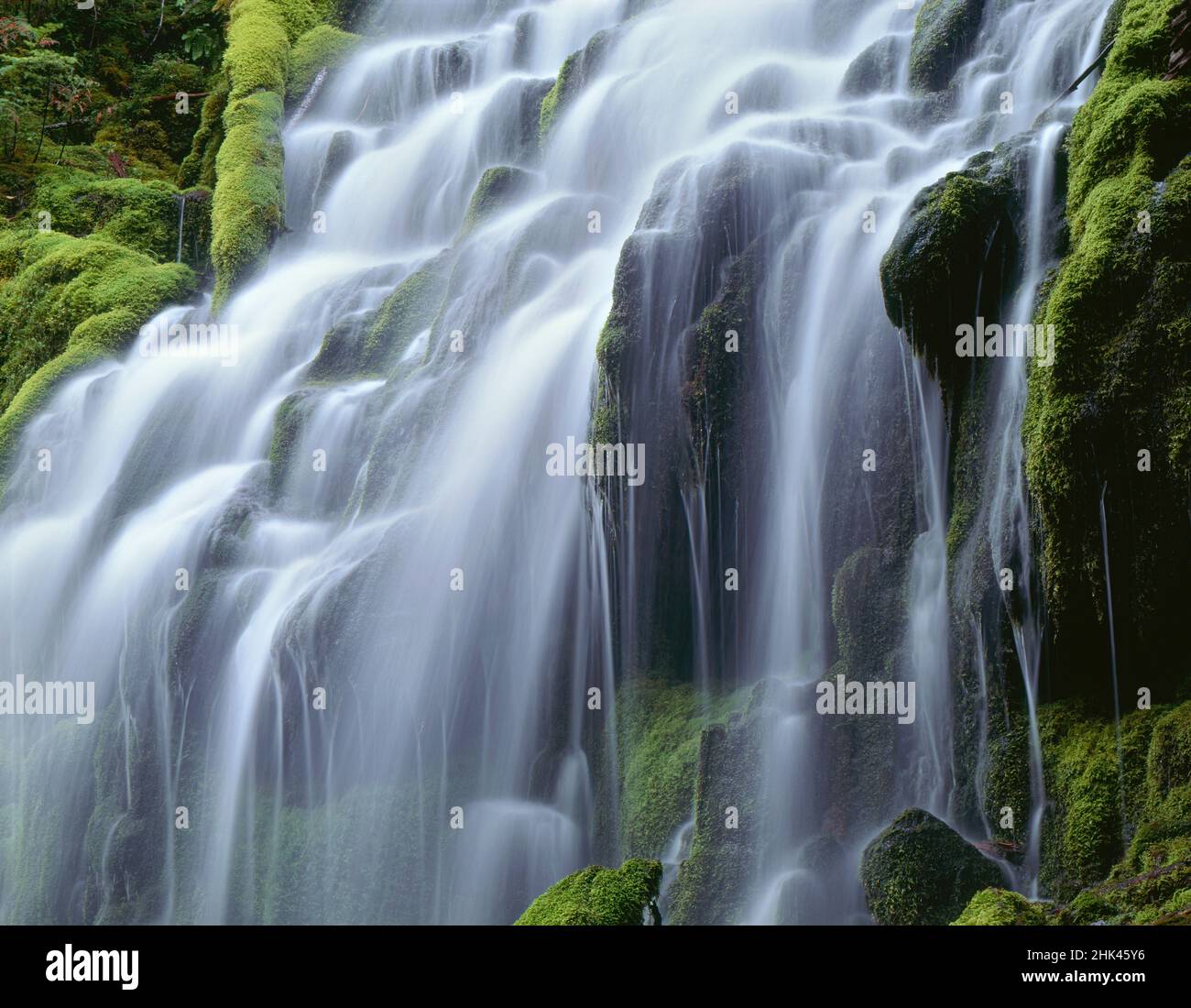 Stati Uniti d'America, Oregon, Willamette National Forest, tre sorelle deserto, Proxy superiore scende e lussureggiante verde muschio. Foto Stock