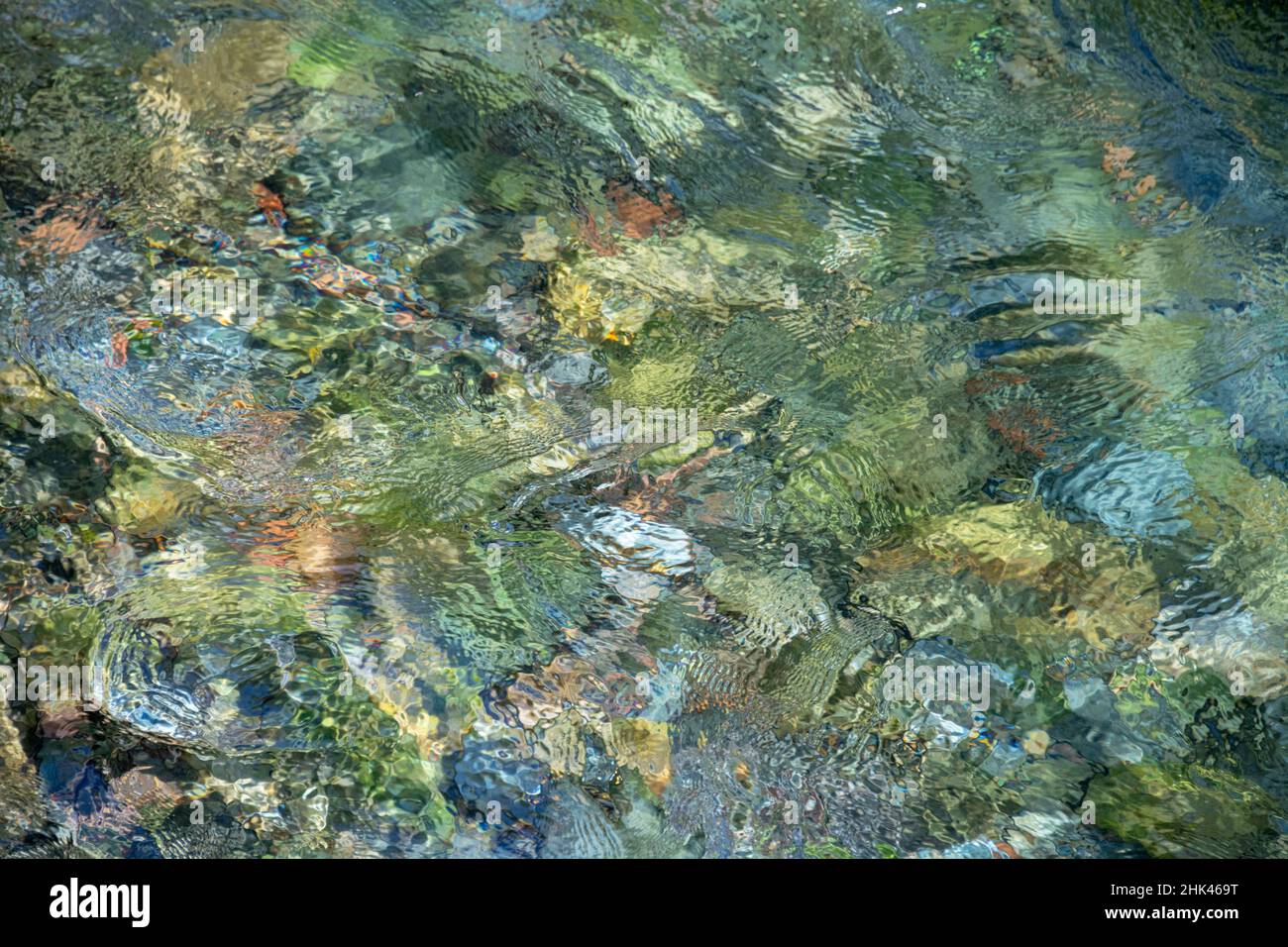 Dettaglio dell'acqua increspata McKenzie Wild e Scenic River nella Cascade Range dell'Oregon. Foto Stock