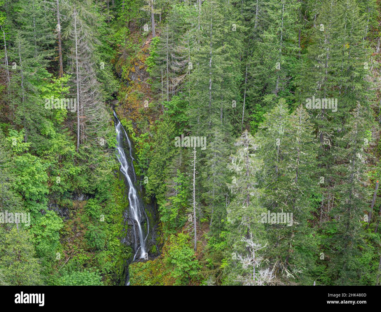 Stati Uniti, Washington state, Olympic Mountains. Vista del fiume South Fork Skokomish e della foresta da High Steel Bridge. Credit as: Don Paulson / Jaynes Galler Foto Stock