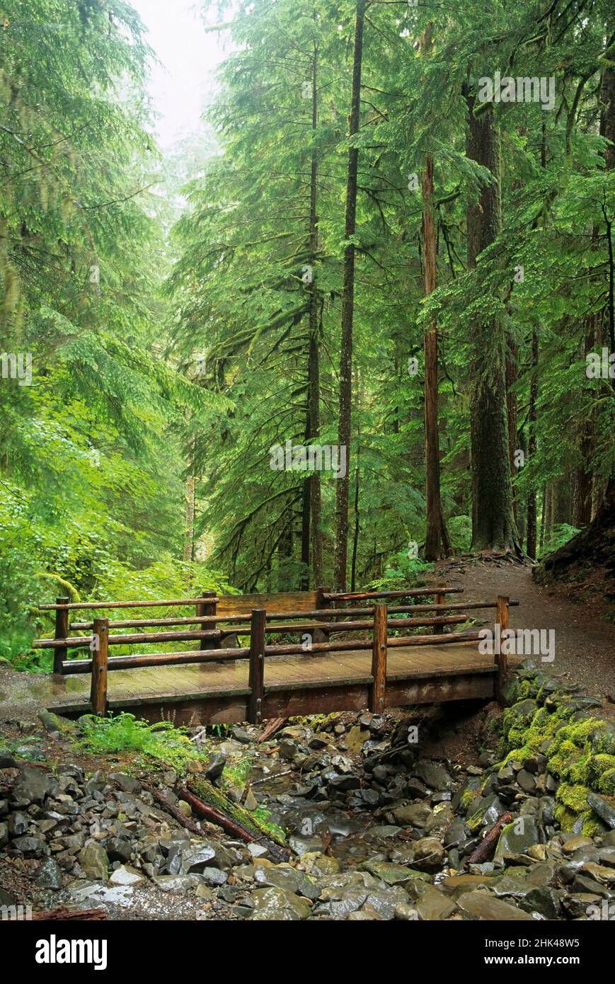 Washington state, Olympic National Park, Sol Duc Valley, foresta pluviale con sentiero e ponte sul torrente Foto Stock