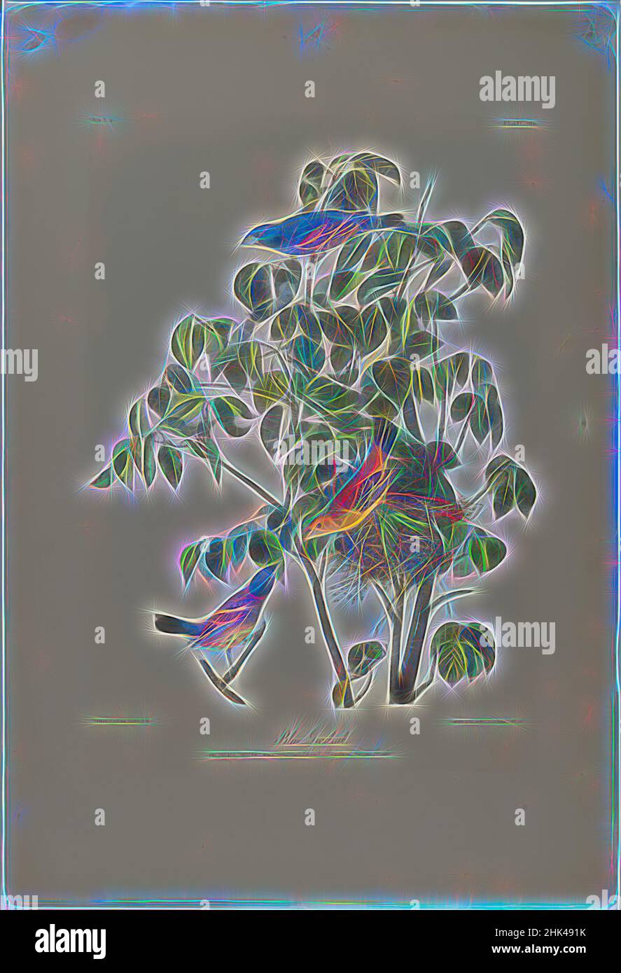 Ispirato da Blue Grosbeak, John James Audubon, americano, nato Haiti, 1785-1851, Litografia, 1861, 29 x 20 pollici, 73,7 x 50,8 cm, uccelli, cornus florida, legno di doghe, fauna, Flora, Fringilla coerulea, illustrazione, storia naturale, natura, Studio della natura, ornitologia, ali, riimmaginato da Artotop. L'arte classica reinventata con un tocco moderno. Design di calda e allegra luminosità e di raggi di luce. La fotografia si ispira al surrealismo e al futurismo, abbracciando l'energia dinamica della tecnologia moderna, del movimento, della velocità e rivoluzionando la cultura Foto Stock