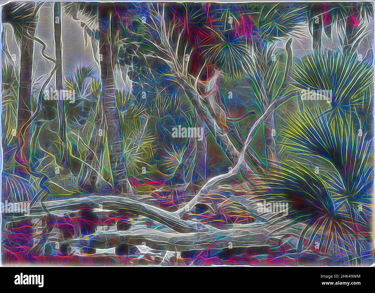 Ispirato da in the Jungle, Florida, Winslow Homer, americano, 1836-1910, Acquerello trasparente con tocchi di acquerello opaco su grafite su carta di colore bianco sporco, moderatamente spessa, moderatamente testurizzata, Stati Uniti, 1904, 13 7/8 x 19 11/16 in., 35,2 x 50 cm, gatto, facciate, giungla, Paesaggio, Log, reimmaginato da Artotop. L'arte classica reinventata con un tocco moderno. Design di calda e allegra luminosità e di raggi di luce. La fotografia si ispira al surrealismo e al futurismo, abbracciando l'energia dinamica della tecnologia moderna, del movimento, della velocità e rivoluzionando la cultura Foto Stock