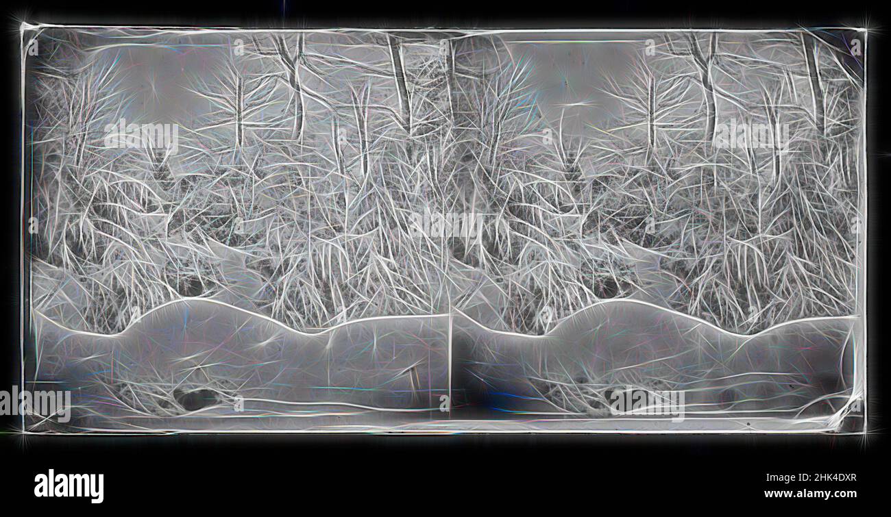 Ispirato a Snow Scene, Prospect Park, Brooklyn, George Bradford Brainerd, americano, 1845-1887, collodio argento vetro bagnato negativo, ca. 1872-1887, fotografia d'archivio, fotografia documentaria, fotogiornalismo precoce, Brooklyn storica, Old Brooklyn, fotografia d'epoca, reinventata da Artotop. L'arte classica reinventata con un tocco moderno. Design di calda e allegra luminosità e di raggi di luce. La fotografia si ispira al surrealismo e al futurismo, abbracciando l'energia dinamica della tecnologia moderna, del movimento, della velocità e rivoluzionando la cultura Foto Stock