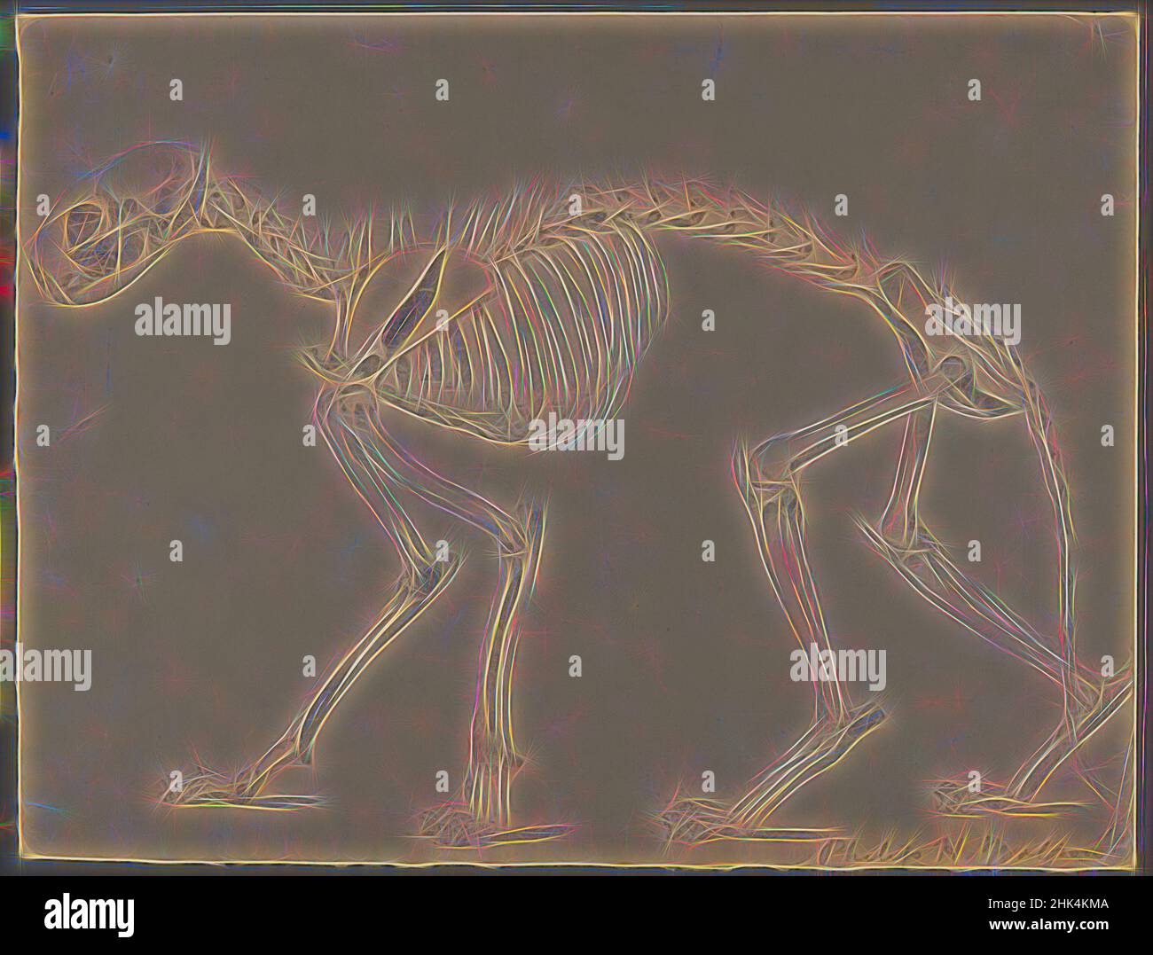 Ispirato da Skeleton di un gatto, Philip H. Wolfrom, americano, 1870-1904, grafite su carta, N.d., foglio: 9 13/16 x 12 15/16 pollici, 24,9 x 32,9 cm, riimmaginato da Artotop. L'arte classica reinventata con un tocco moderno. Design di calda e allegra luminosità e di raggi di luce. La fotografia si ispira al surrealismo e al futurismo, abbracciando l'energia dinamica della tecnologia moderna, del movimento, della velocità e rivoluzionando la cultura Foto Stock