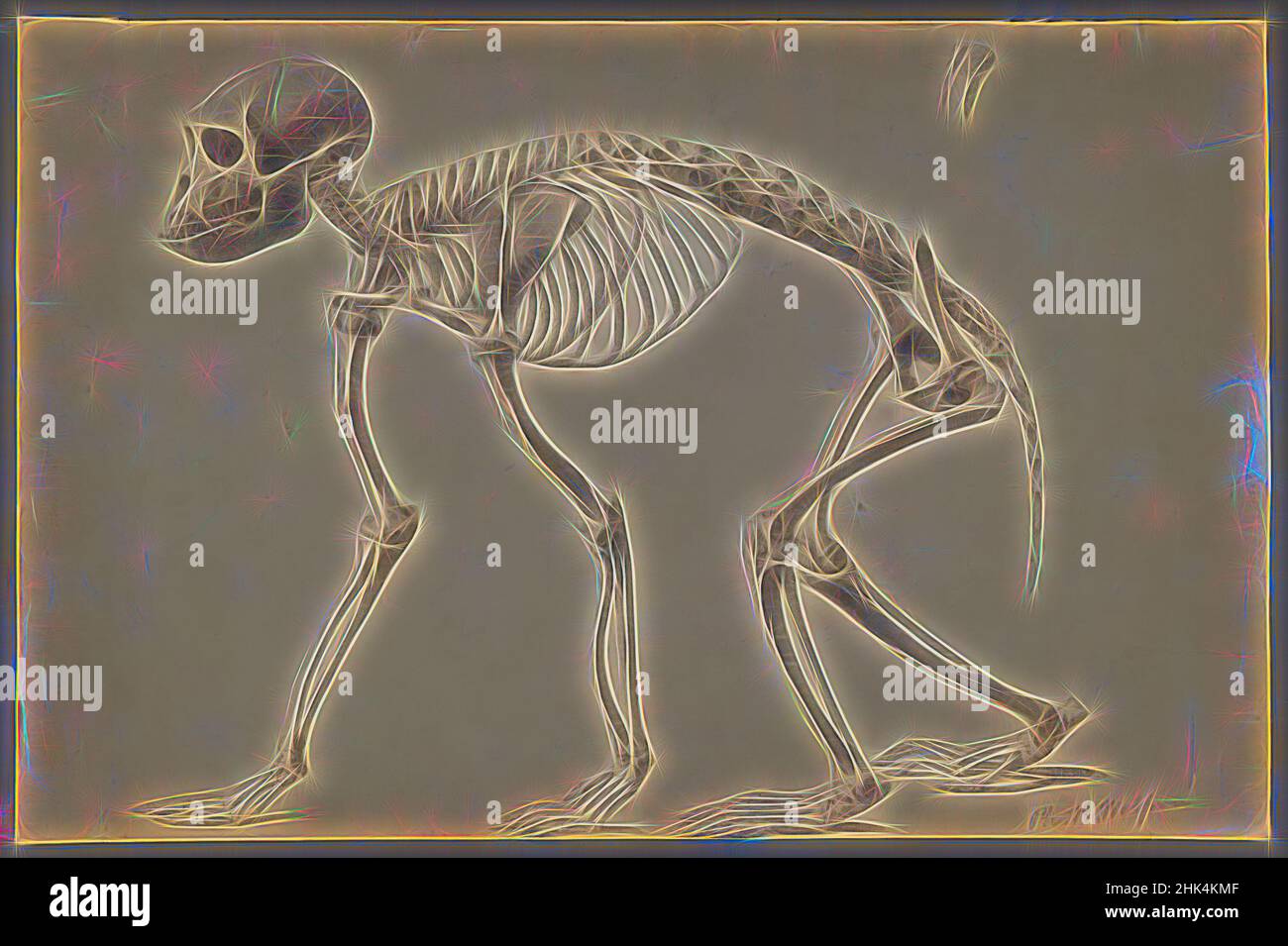 Ispirato da Skeleton di un Primate, Philip H. Wolfrom, americano, 1870-1904, grafite su carta, N.d., foglio: 12 15/16 x 19 7/16 pollici, 32,9 x 49,4 cm, ape, beige, ossa, scimmia, toni neutri, gabbia toracica, scheletro, cranio, colonna vertebrale, Coda, coda, coda, reinventata da Artotop. L'arte classica reinventata con un tocco moderno. Design di calda e allegra luminosità e di raggi di luce. La fotografia si ispira al surrealismo e al futurismo, abbracciando l'energia dinamica della tecnologia moderna, del movimento, della velocità e rivoluzionando la cultura Foto Stock