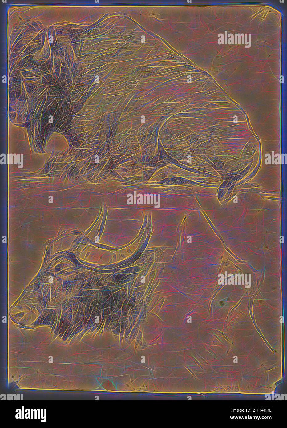 Ispirato da tori Brahman, recto e Bison e Head of Water Buffalo, verso, Philip H. Wolfrom, americano, 1870-1904, Grafite su carta, n.d., foglio: 9 13/16 x 7 pollici, 24,9 x 17,8 cm, studio animale, tori, fauna, corna, Humps, sketch, reinventato da Artotop. L'arte classica reinventata con un tocco moderno. Design di calda e allegra luminosità e di raggi di luce. La fotografia si ispira al surrealismo e al futurismo, abbracciando l'energia dinamica della tecnologia moderna, del movimento, della velocità e rivoluzionando la cultura Foto Stock