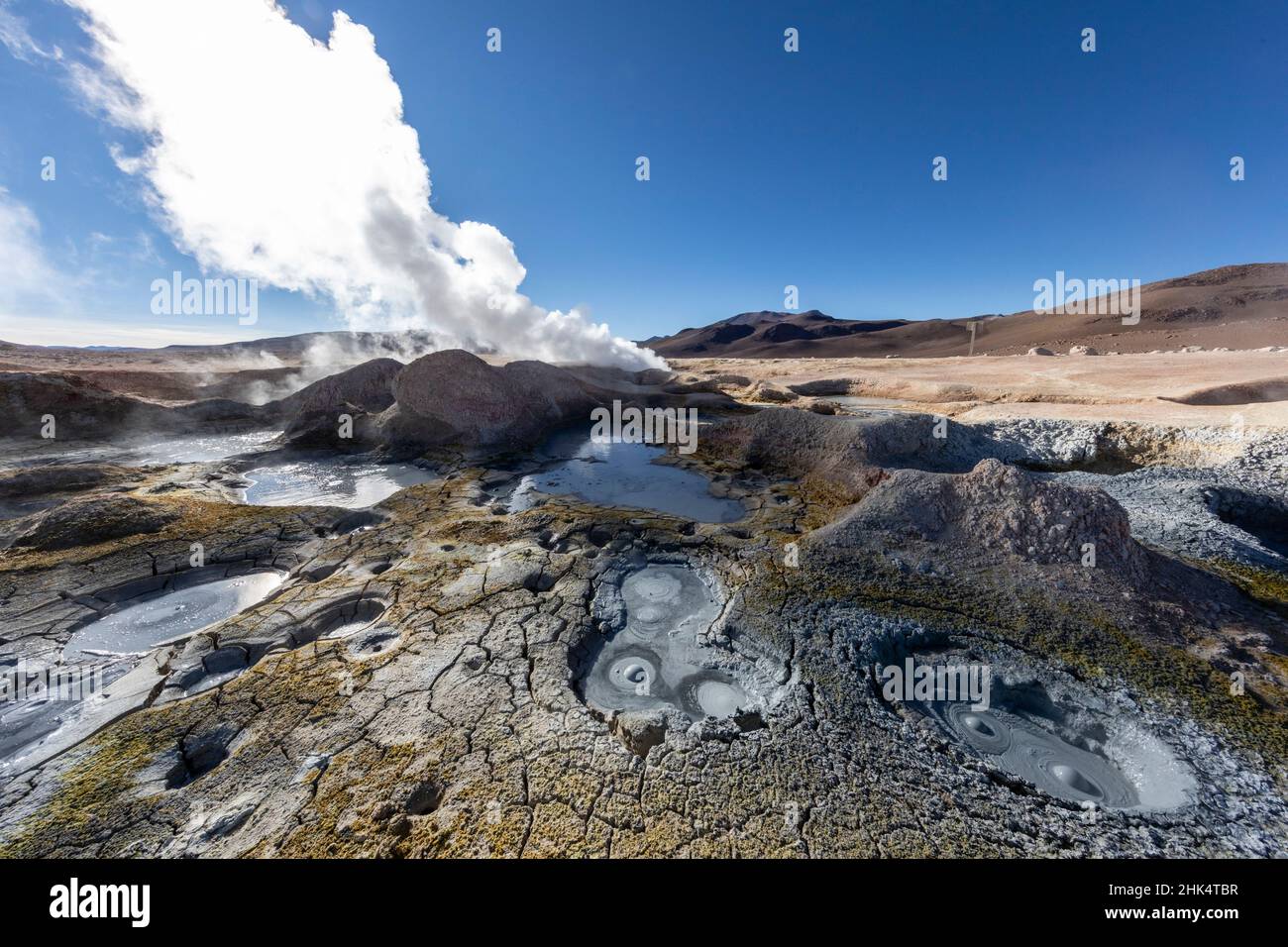 Geyser a Banos Termases nella Riserva Nazionale della Fauna andina Eduardo Avaroa, Dipartimento di Potosi, Bolivia, Sud America Foto Stock