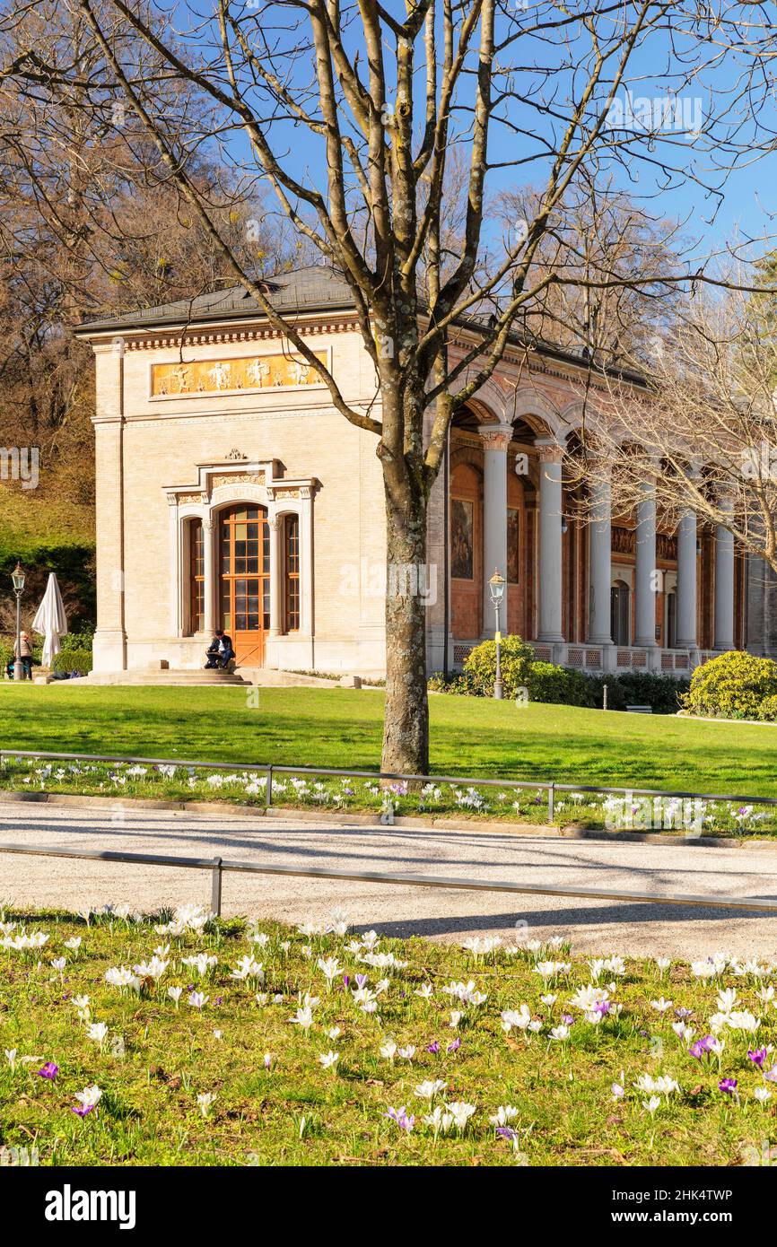 Crocus fiori di fronte alla sala pompe di Baden-Baden, Foresta Nera, Baden-Wurttemberg, Germania, Europa Foto Stock