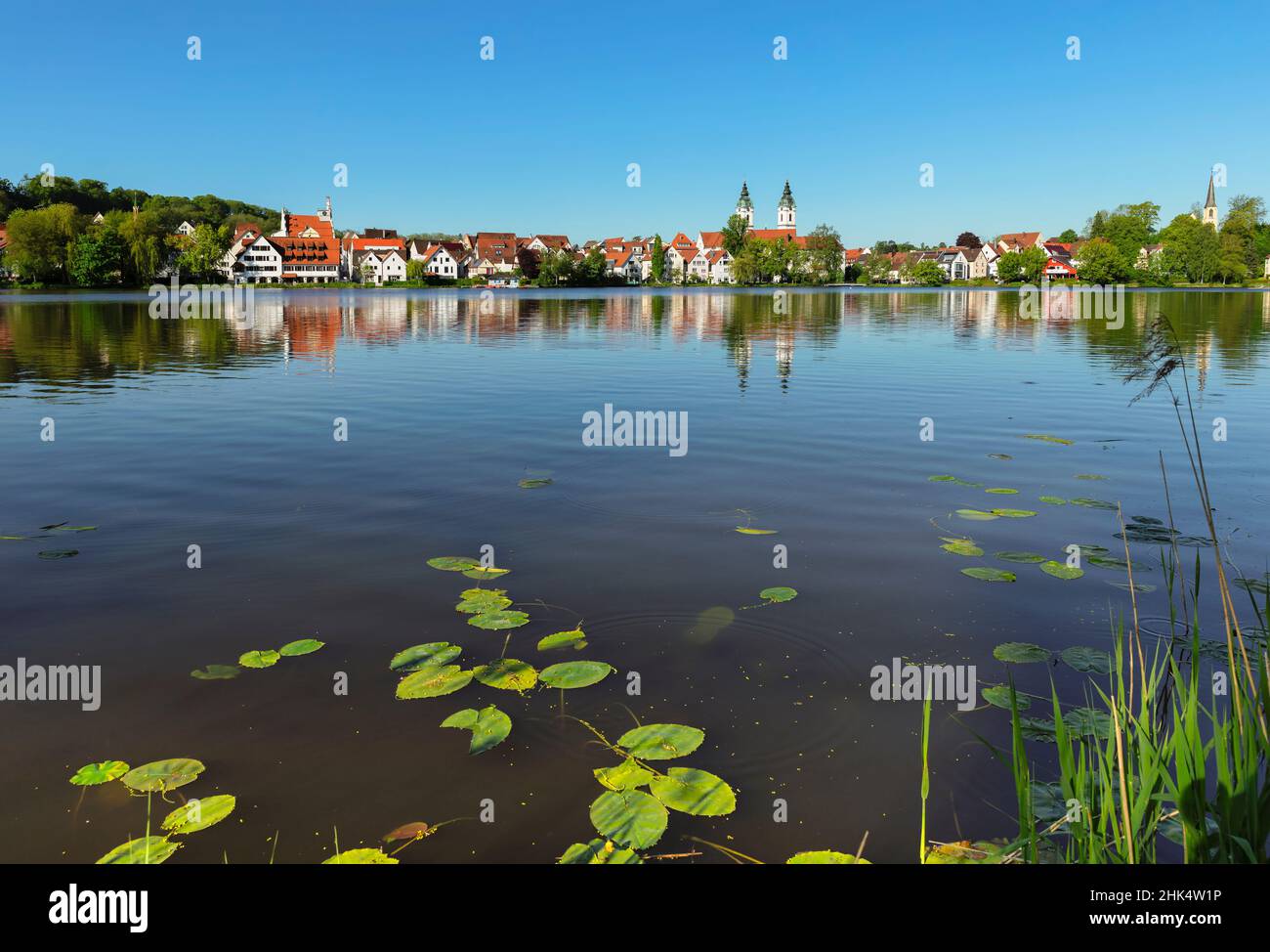 Lago comunale con Collegiata di San Pietro, Bad Waldsee, alta Svevia, Baden-Wurttemberg, Germania, Europa Foto Stock