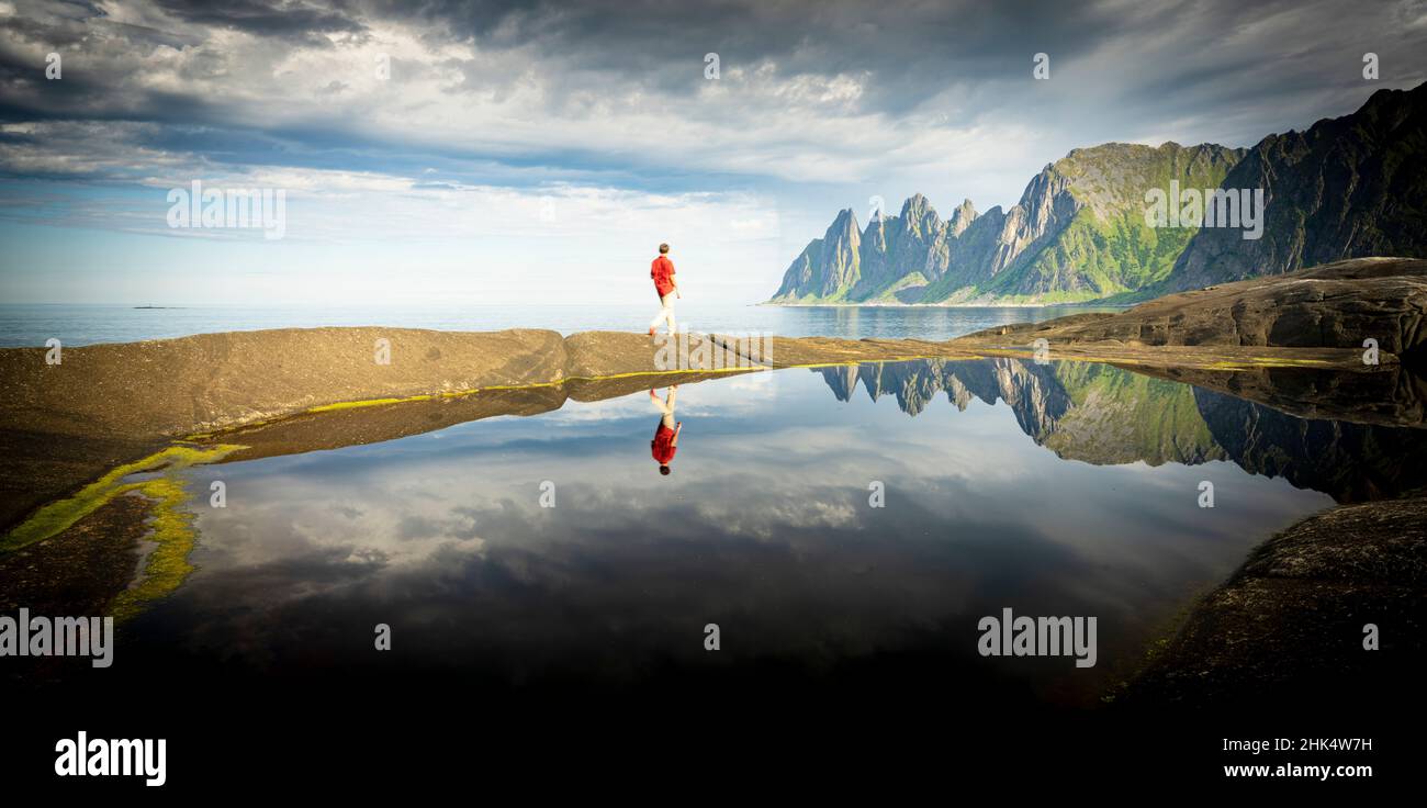 Uomo escursionista che cammina sul bordo dell'acqua ammirando le montagne riflesse nel mare, Tingeneset, Senja, contea di Troms, Norvegia, Scandinavia, Europa Foto Stock