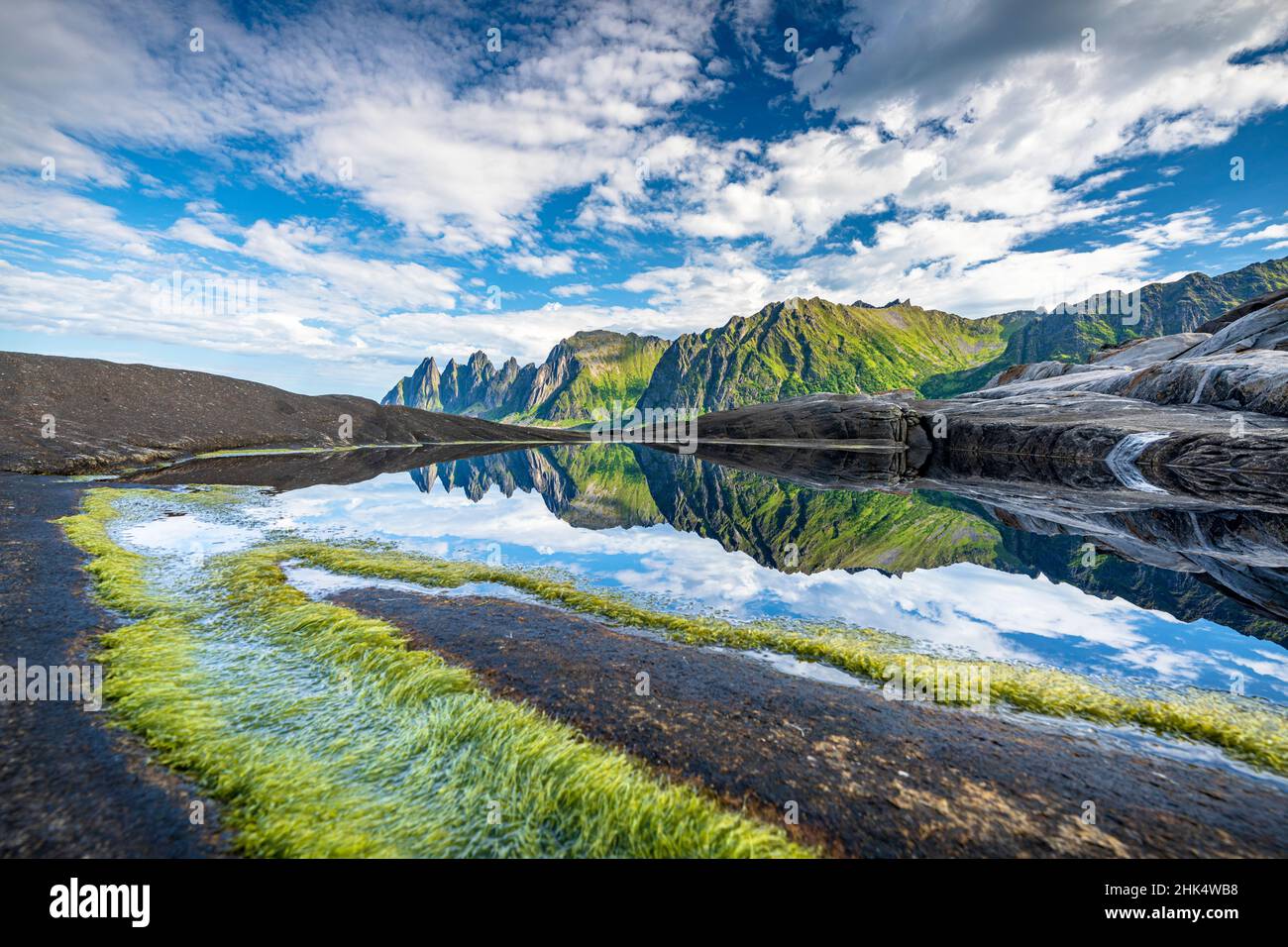 Alghe marine su scogliere con montagne riflesse in acqua sullo sfondo, Tugeneset, Senja, Troms County, Norvegia, Scandinavia, Europa Foto Stock