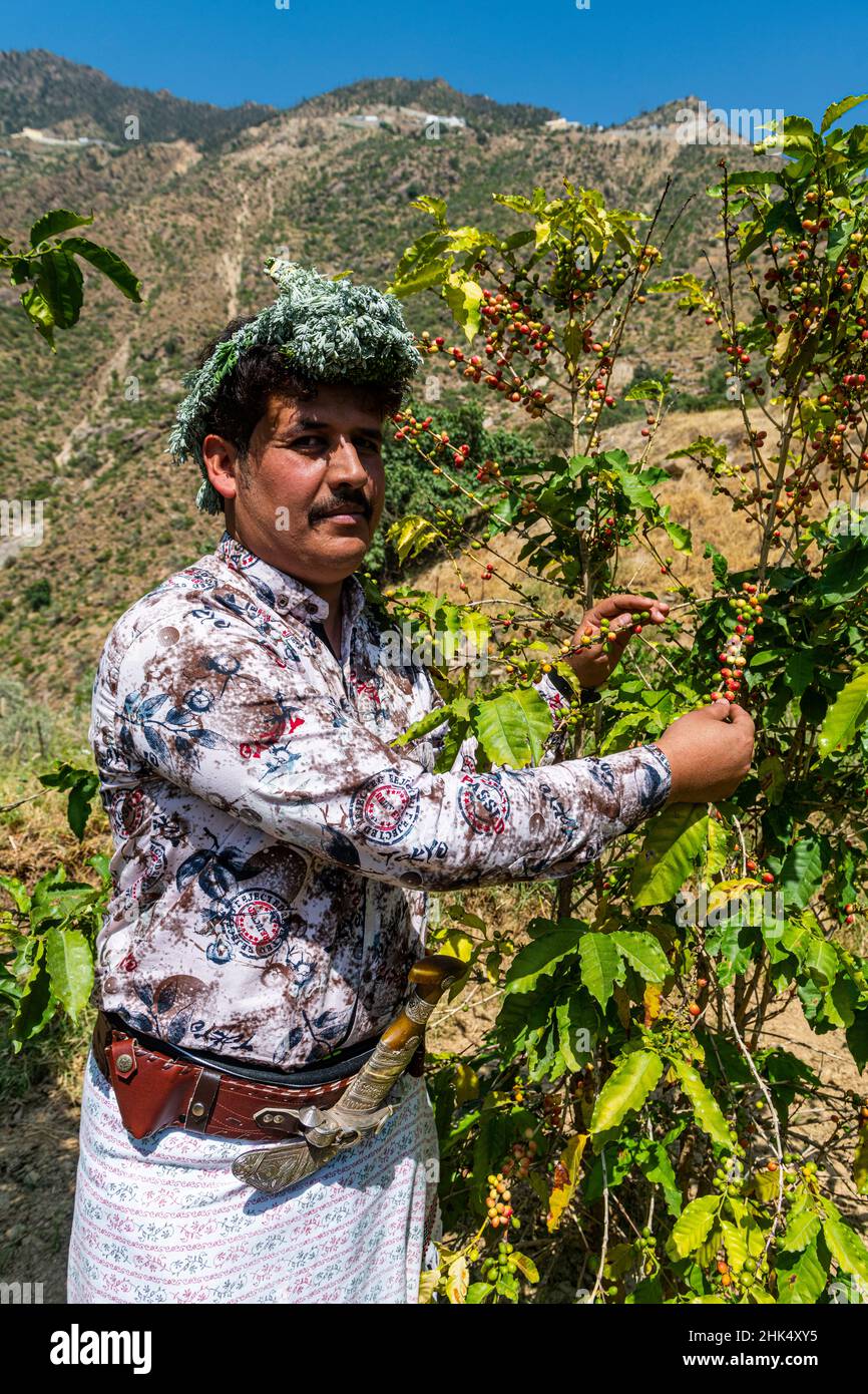 Uomo tradizionale vestito della tribù di fiori Qahtani nelle piante di caffè, ASiR Mountains, Regno dell'Arabia Saudita, Medio Oriente Foto Stock