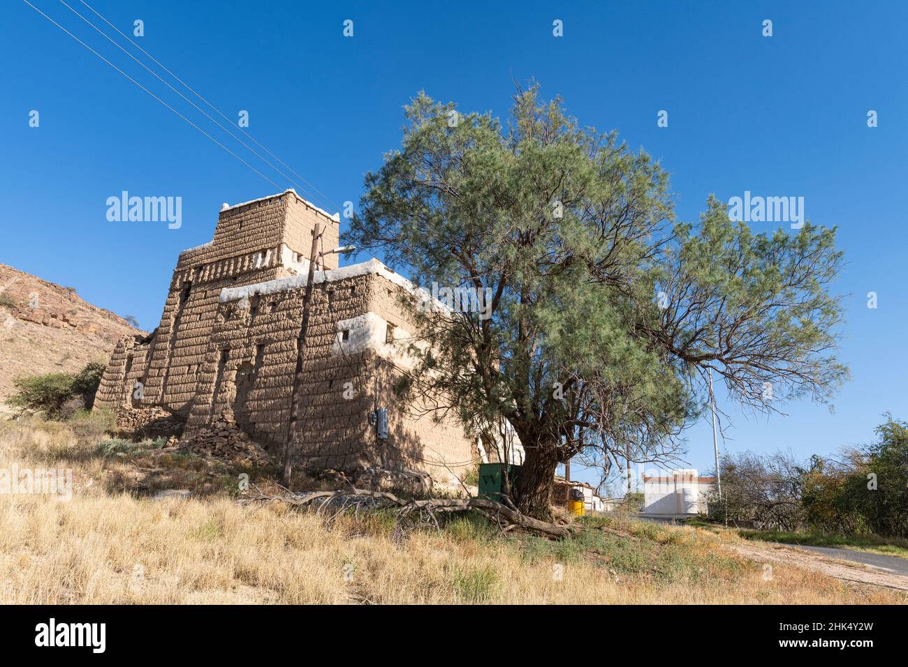 Case fortificate tipiche, regione di Abha, Regno dell'Arabia Saudita, Medio Oriente Foto Stock