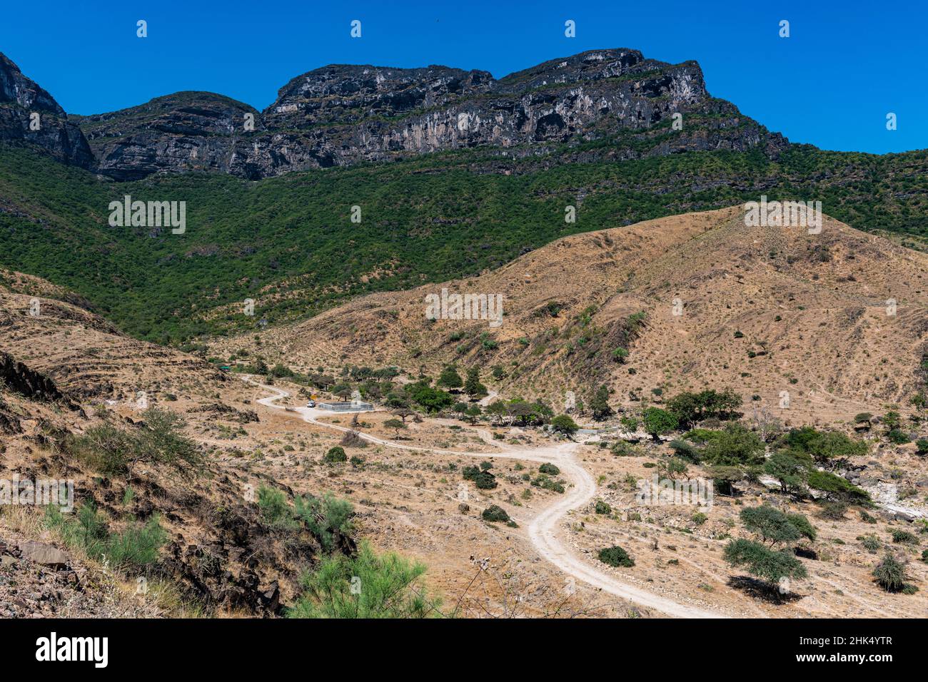 Scogliere di roccia verde, Salalah, Oman, Medio Oriente Foto Stock