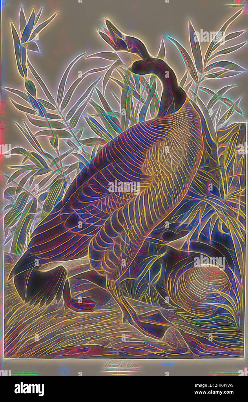 Ispirato da Canada Goose, Aquatint, foglio: 35 3/4 x 24 3/4 in., 90,8 x 62,9 cm, animale, uccello, uccelli, fauna, flora, oche, erbe, natura, studio della natura, nido, ornitologia, stagno, rocce, uccelli acquatici, Zone umide, reinventate da Artotop. L'arte classica reinventata con un tocco moderno. Design di calda e allegra luminosità e di raggi di luce. La fotografia si ispira al surrealismo e al futurismo, abbracciando l'energia dinamica della tecnologia moderna, del movimento, della velocità e rivoluzionando la cultura Foto Stock Ispirato da Canada Goose, Aquatint, foglio: 35 3/4 x 24 3/4 in., 90,8 x 62,9 cm, animale, uccello, uccelli, fauna, flora, oche, erbe, natura, studio della natura, nido, ornitologia, stagno, rocce, uccelli acquatici, Zone umide, reinventate da Artotop. L'arte classica reinventata con un tocco moderno. Design di calda e allegra luminosità e di raggi di luce. La fotografia si ispira al surrealismo e al futurismo, abbracciando l'energia dinamica della tecnologia moderna, del movimento, della velocità e rivoluzionando la cultura Foto Stock
