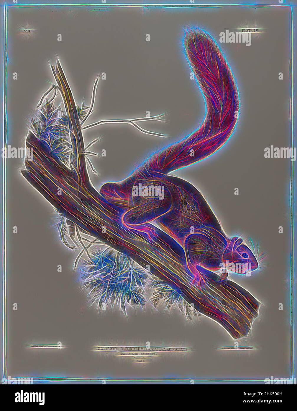 Ispirato da Brown o Norvegia Rat, scoiattolo dalla coda rossa, John James Audubon, americano, nato Haiti, 1785-1851, litografia, 27 x 21 pollici, 68,6 x 53,3 cm, fauna, flora, arto, mammiferi, Studio della natura, roditore, albero, reinventato da Artotop. L'arte classica reinventata con un tocco moderno. Design di calda e allegra luminosità e di raggi di luce. La fotografia si ispira al surrealismo e al futurismo, abbracciando l'energia dinamica della tecnologia moderna, del movimento, della velocità e rivoluzionando la cultura Foto Stock