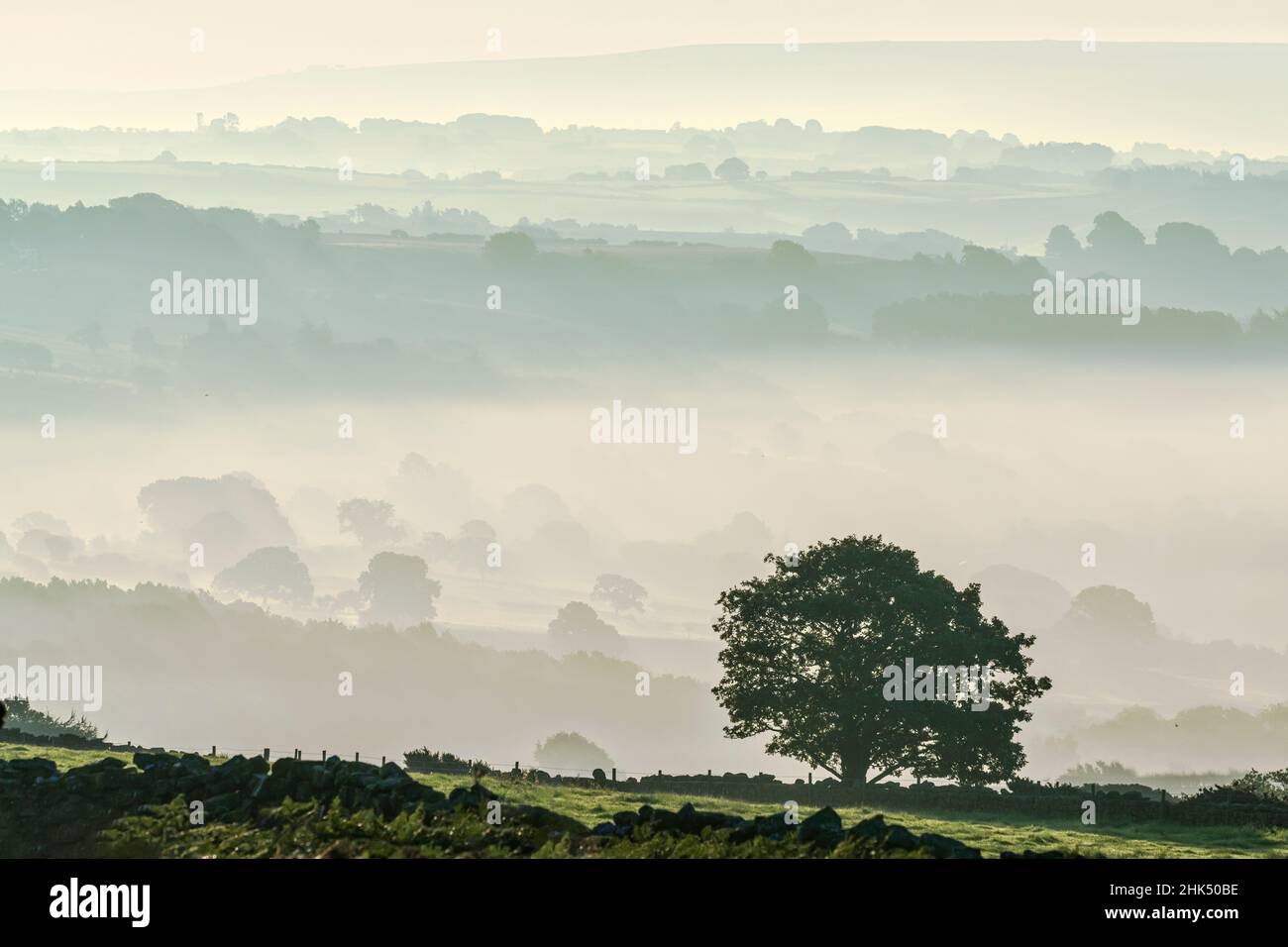 Nebbia di prima mattina nella valle di Esk intorno a Lealholm nel Parco Nazionale Moors del North Yorkshire, Yorkshire, Inghilterra, Regno Unito, Europa Foto Stock