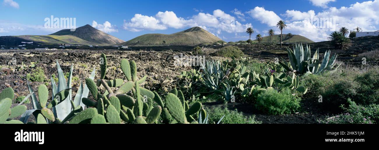 Vista sul paesaggio vulcanico del Parque Natural de Los Volcanes, la Geria, Lanzarote, Isole Canarie, Spagna, Atlantico, Europa Foto Stock