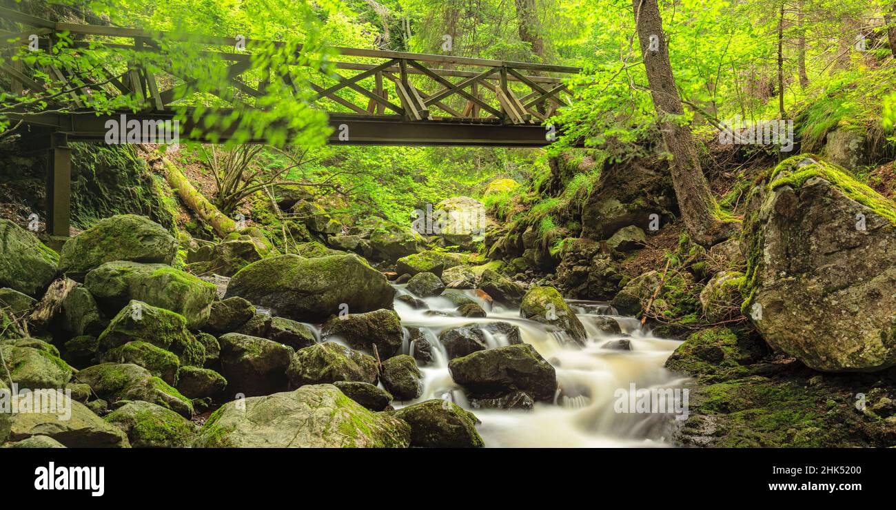 Gola di Ravenna lungo il fiume Ravenna, Breitnau, Valle Hollentale, Foresta Nera, Baden-Wurttemberg, Germania, Europa Foto Stock