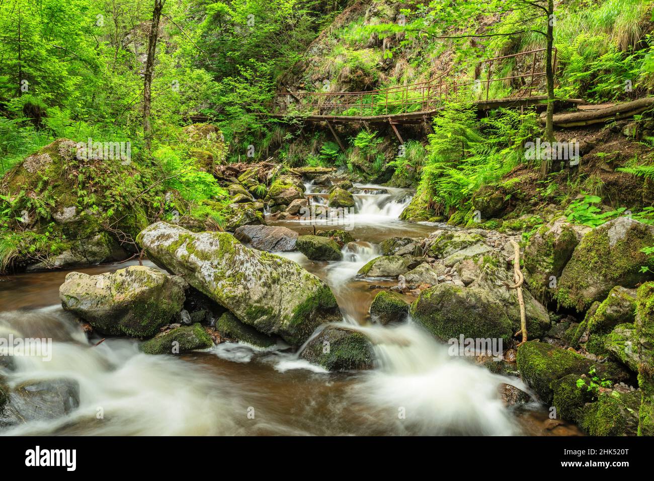 Gola di Ravenna lungo il fiume Ravenna, Breitnau, Valle Hollentale, Foresta Nera, Baden-Wurttemberg, Germania, Europa Foto Stock