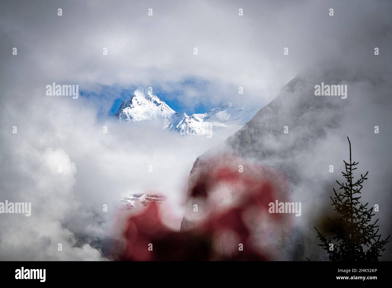 Maestoso picco di Eiger coperto di neve in nebbia fitta, Murren, regione di Jungfrau, Oberland Bernese, Canton Berna, Alpi svizzere, Svizzera, Europa Foto Stock