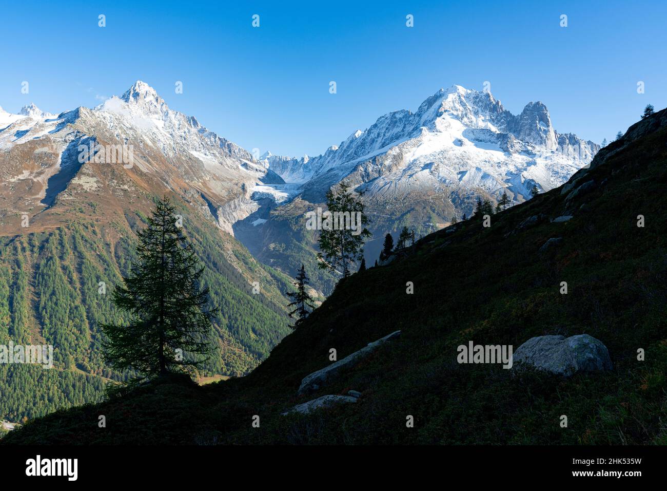 Maestose vette Aiguille du Chardonnet, Ghiacciaio Aiguille Verte e Argentiere, Monte Bianco Massif, Chamonix, alta Savoia, Alpi francesi, Francia, Europa Foto Stock