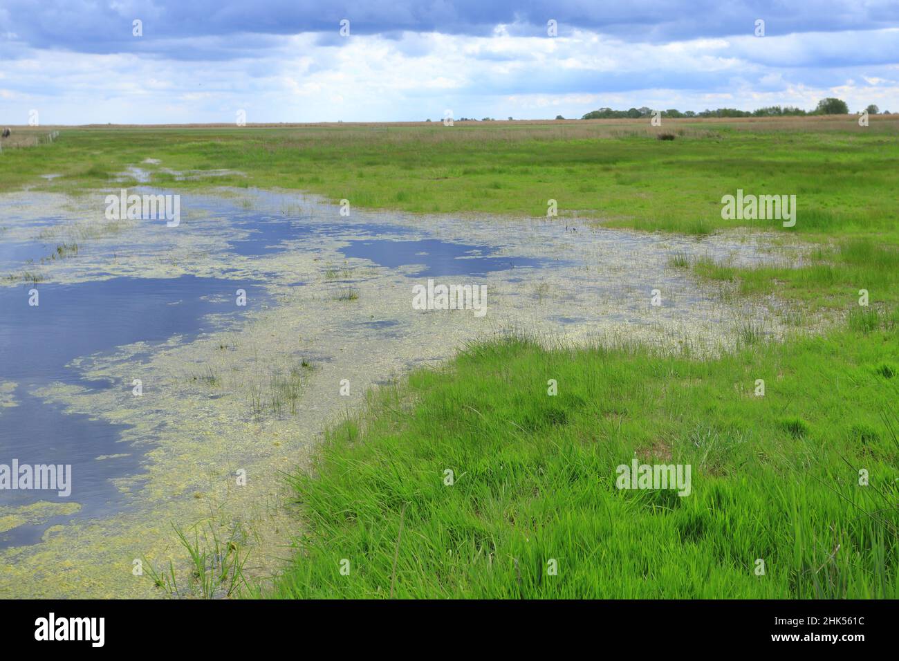 Vista della riserva naturale di Beka durante una tempesta imminente Foto Stock