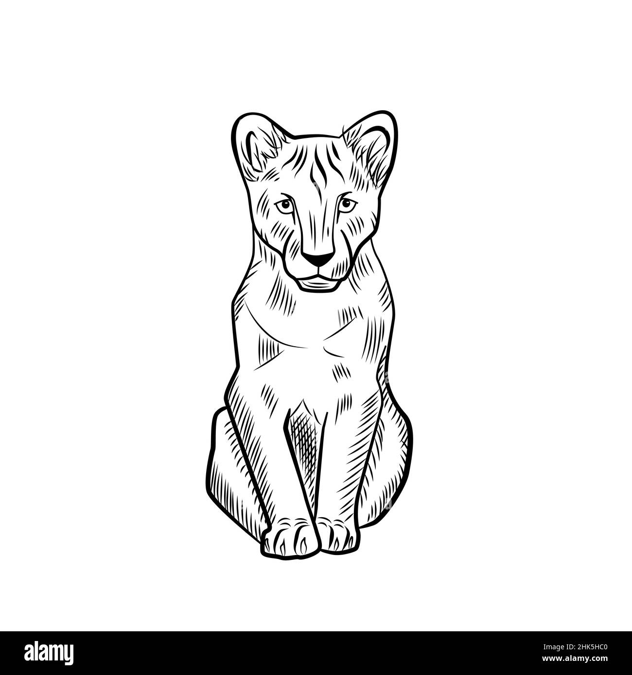 Il cub leone isolato su sfondo bianco. Disegna il predatore grafico di savana in stile incisione. Disegno retro in bianco e nero. Vettore il Illustrazione Vettoriale