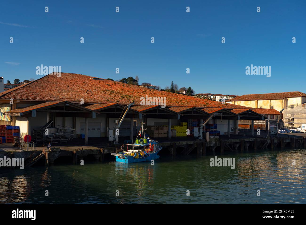 Barche da pesca nel porto di Saint Jean de Luz, Paesi Baschi, Pirenei Atlantici, Francia Foto Stock
