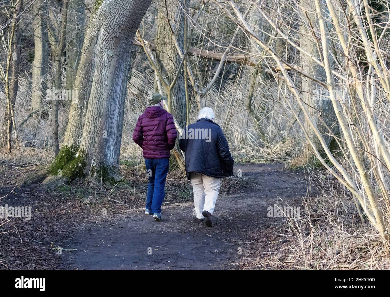 Pensionamento Regno Unito, una coppia senior visto dal retro, a piedi su un percorso nei boschi in inverno, Suffolk Inghilterra Regno Unito Foto Stock
