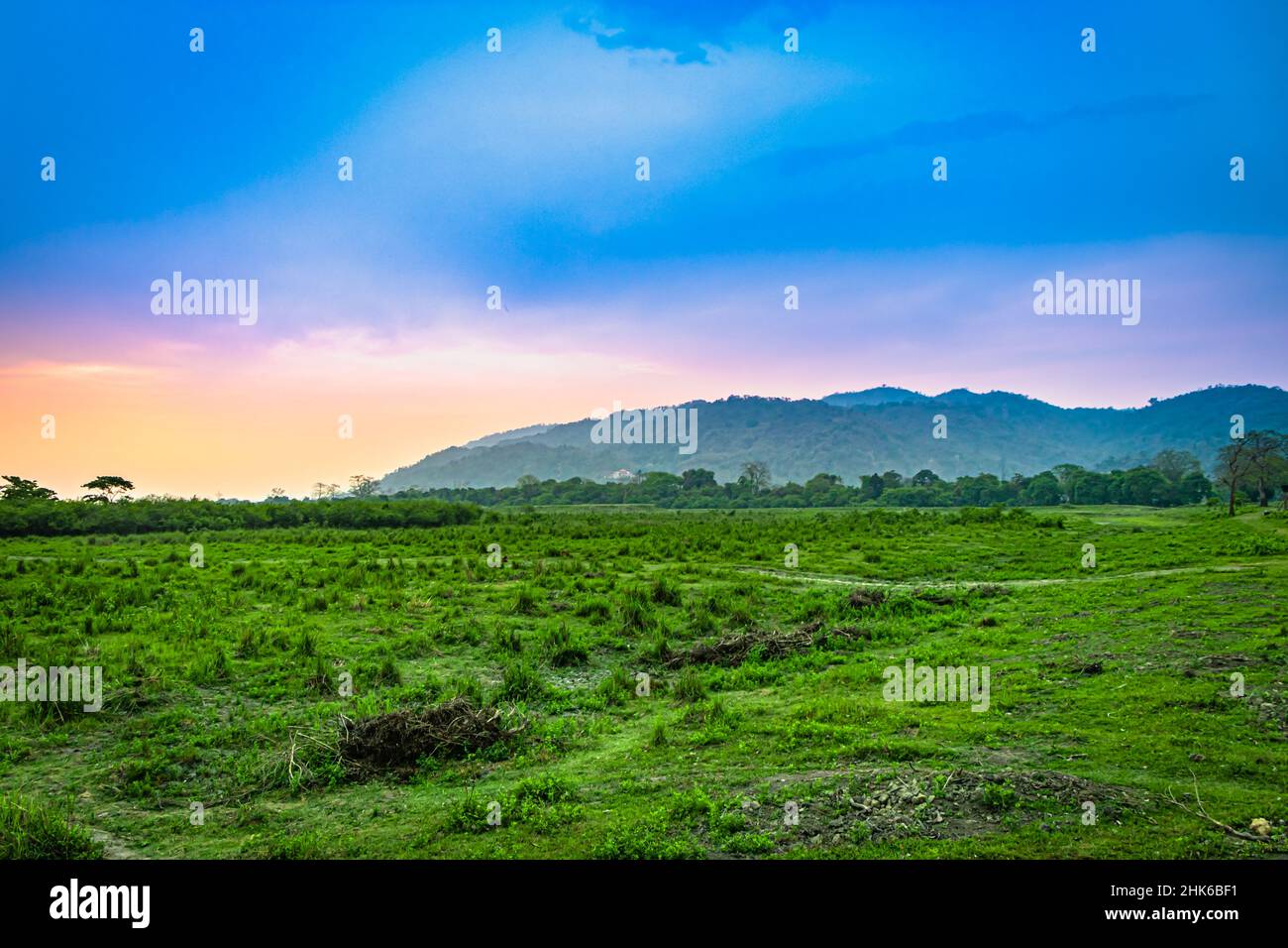 prateria verde con cielo e ombra di montagna drammatica al mattino presto è preso a kaziranga assam india. Foto Stock
