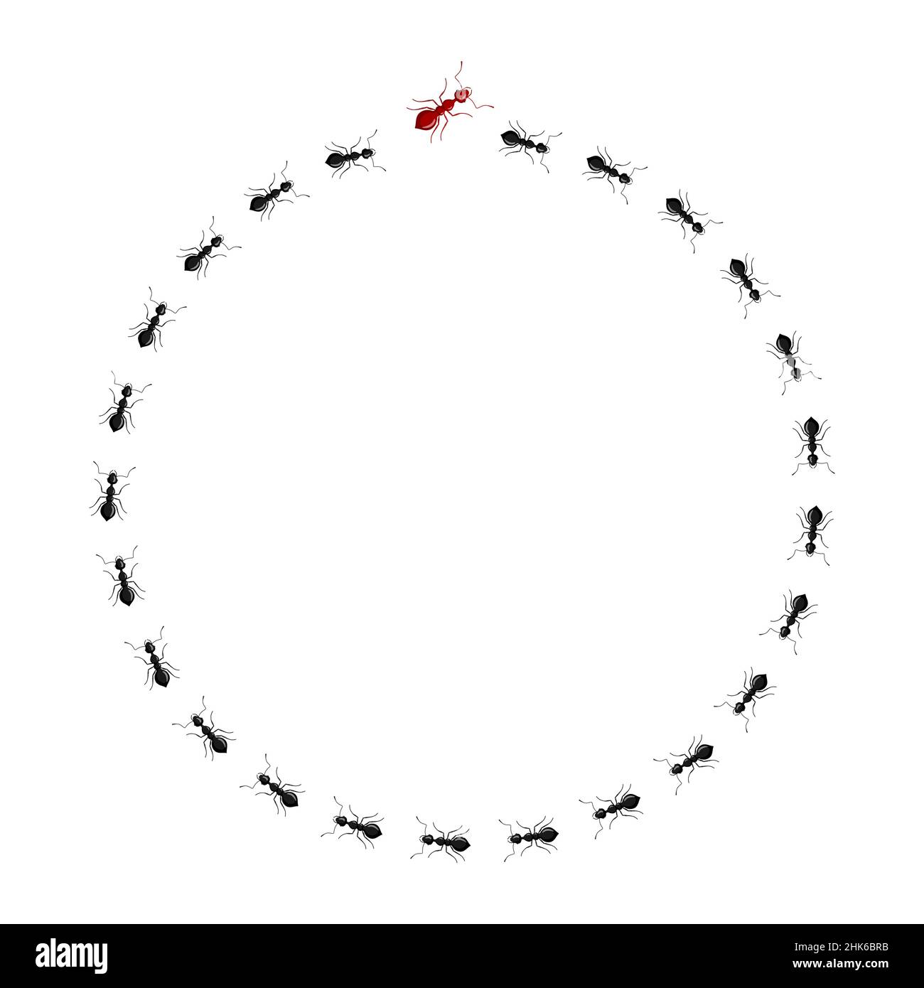 Formica rossa che va in modo diverso dalle formiche nere isolate su sfondo bianco. Concetto altro pensiero, unico, non come tutti gli altri. Illustrazione Vettoriale